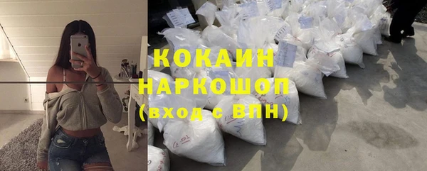 индика Алексин
