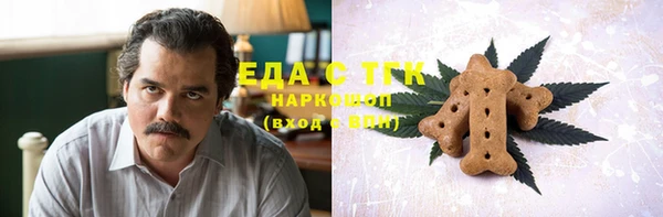 индика Алексин