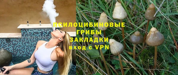 скорость Ельня