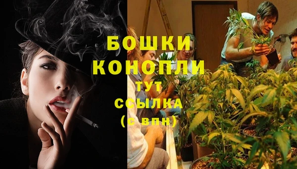 ECSTASY Инта