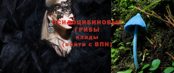твердый Алзамай