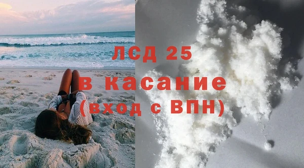индика Алексин