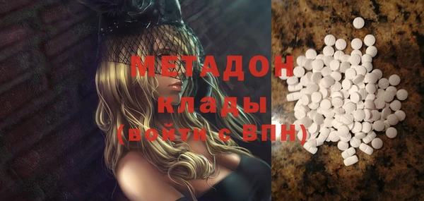 индика Алексин