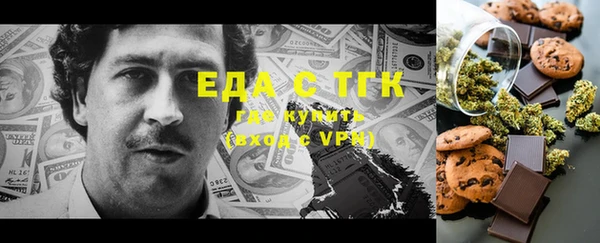 индика Алексин